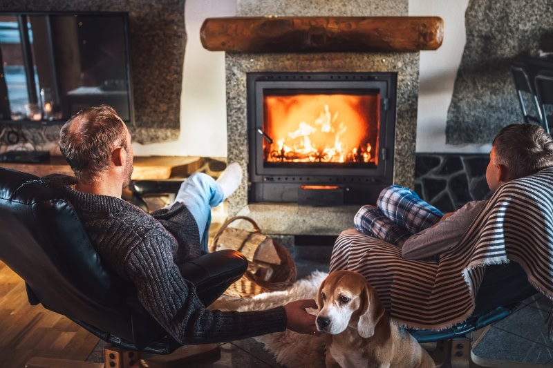 The Basics of Winter Indoor Air Quality. Father with son sitting in comfortable armchairs in their cozy country house near fireplace and enjoying a warm atmosphere and flame moves. Their beagle friend dog sitting beside on white sheepskin.